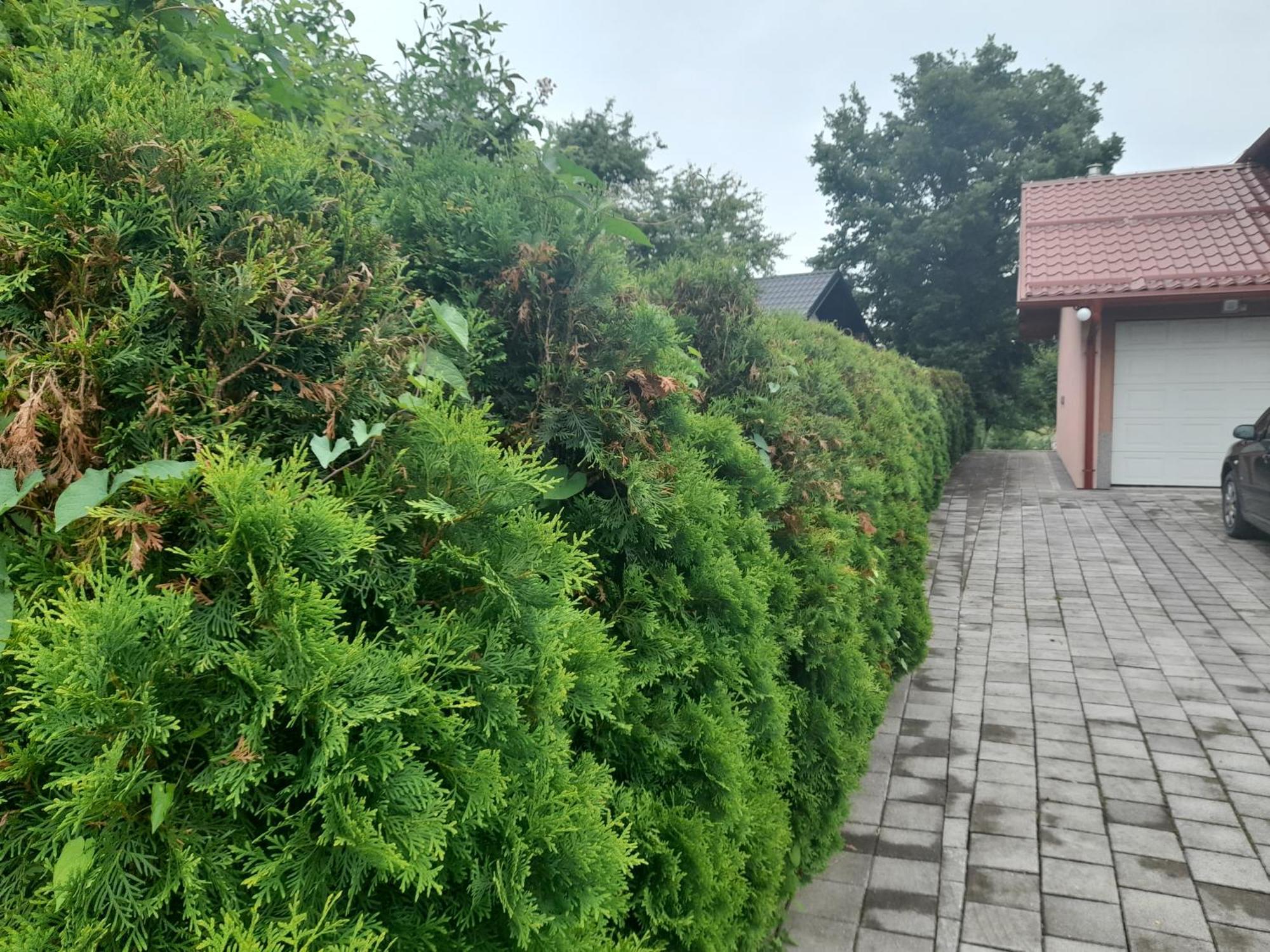 Villa Usivak For Green Quiet Holiday Near Sarajevo#Travellerawards2025 Exterior photo